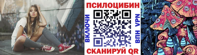 ссылка на мегу зеркало  Дальнереченск  Псилоцибиновые грибы мухоморы  наркота 